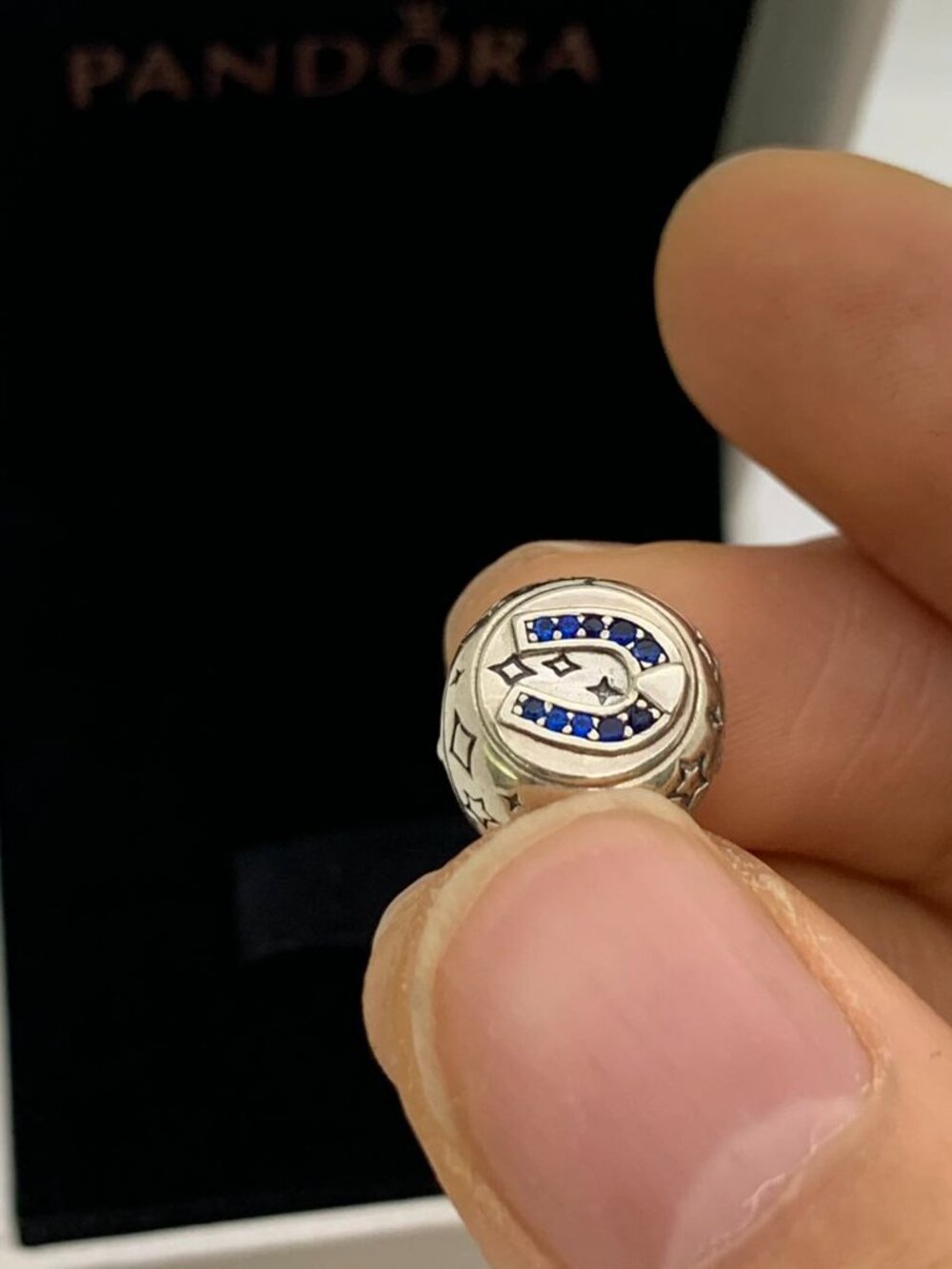 ✨✨Pandora Clover, Horseshoe, Ladybird Charm - Picture 11 of 13